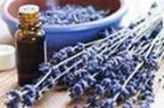 lavendar essential oil